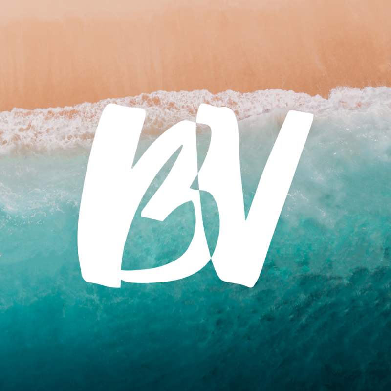 The BluVibe Logo